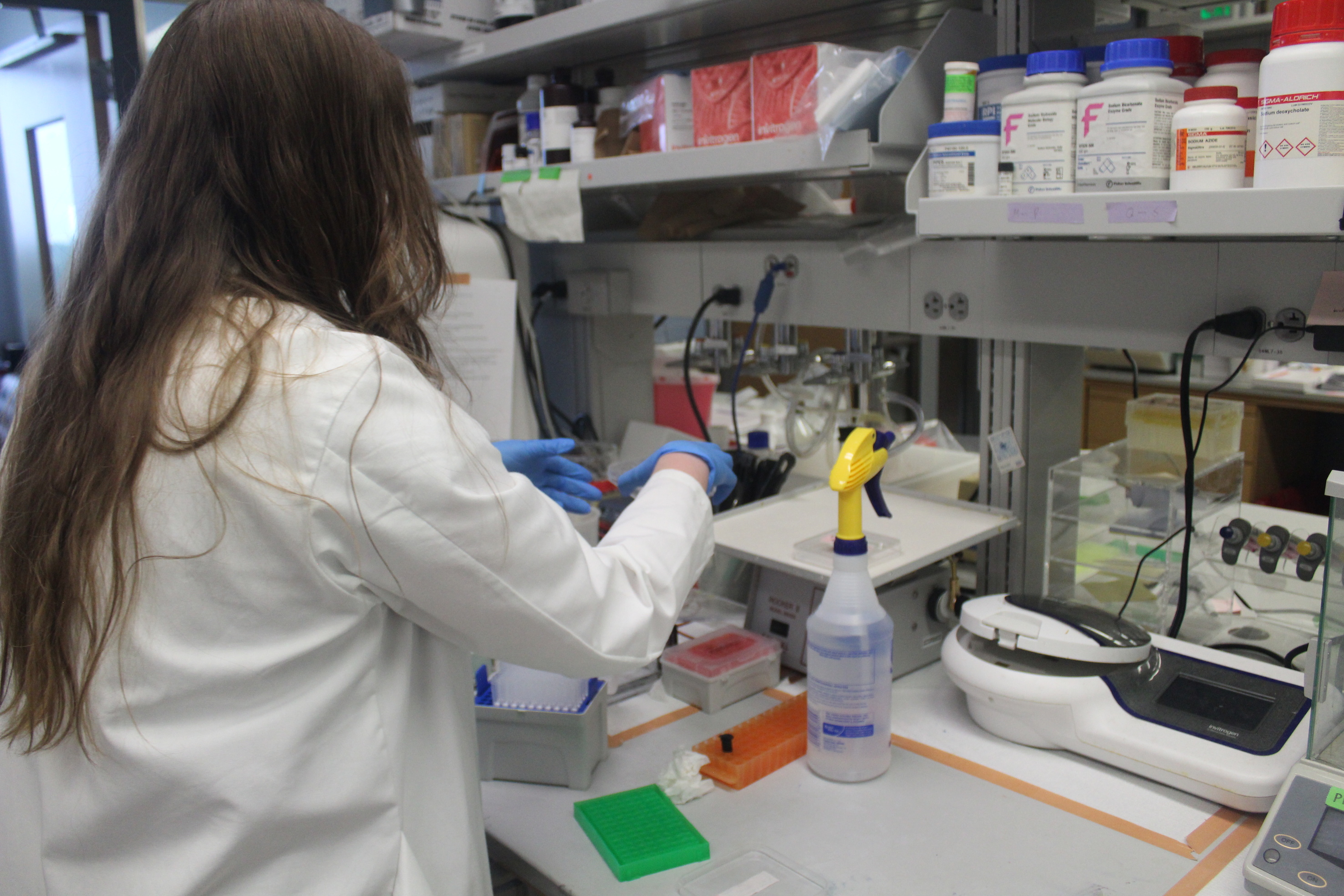 Dr. Weigel Lab performing experiment