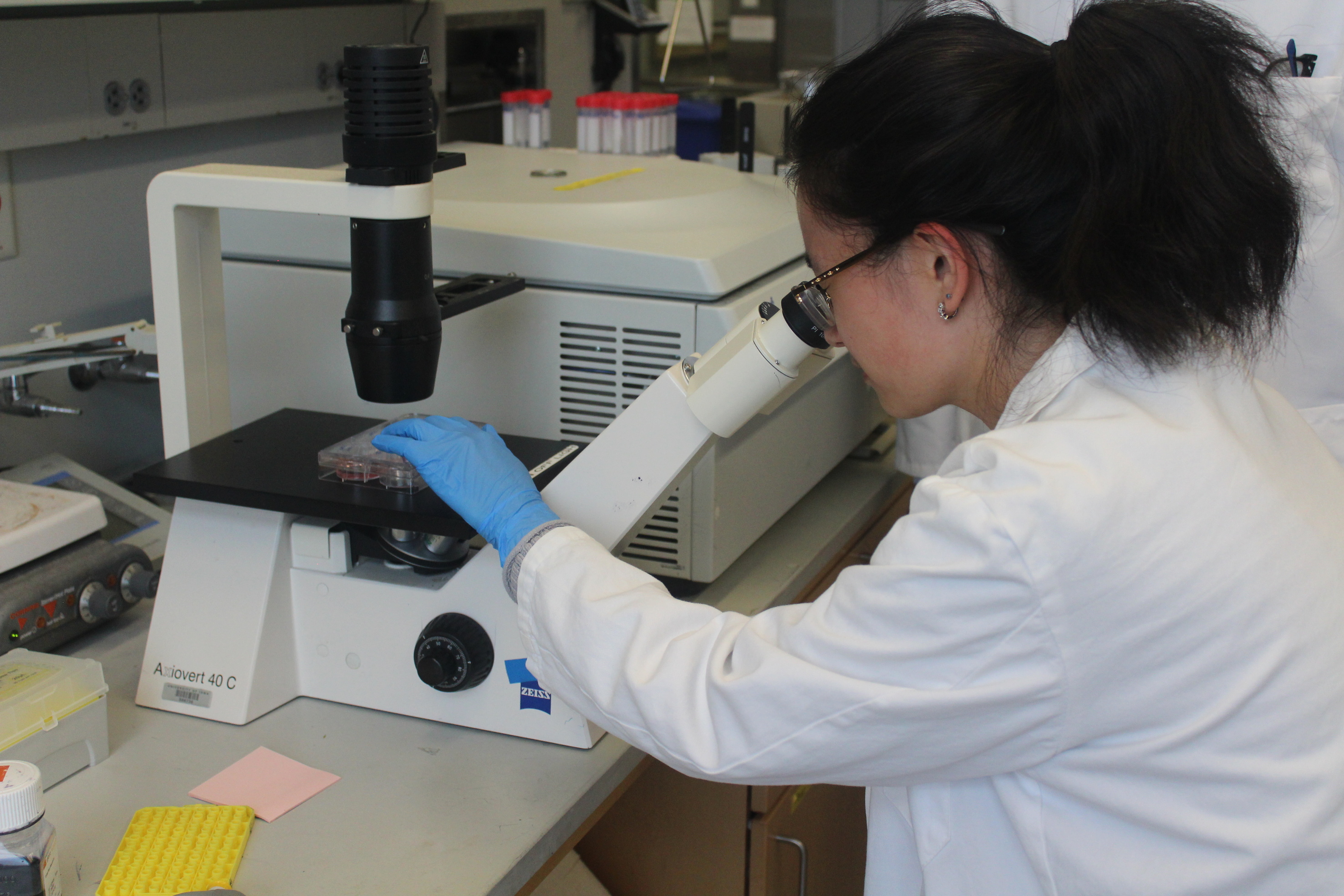 Dr. Weigel Lab performing experiment