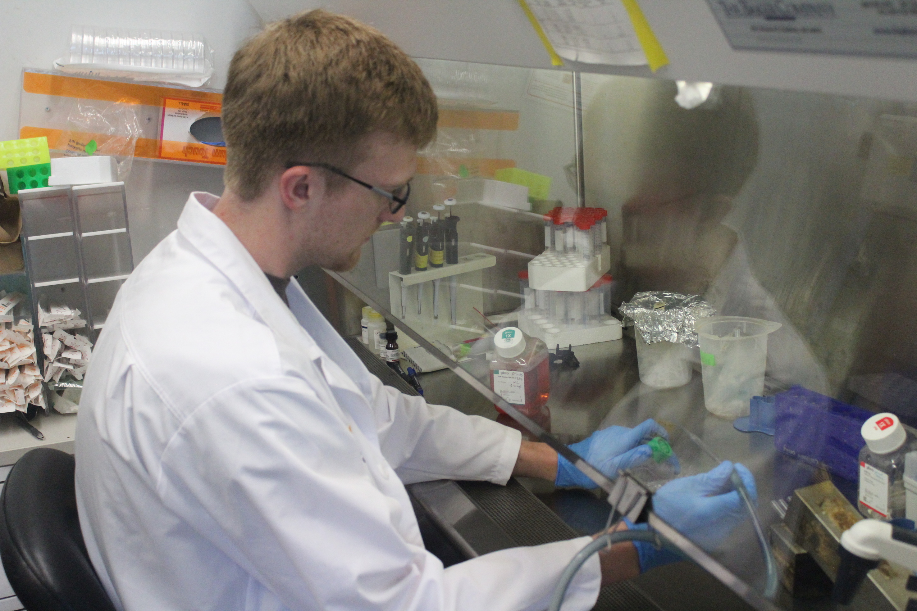 Dr. Weigel Lab performing experiment