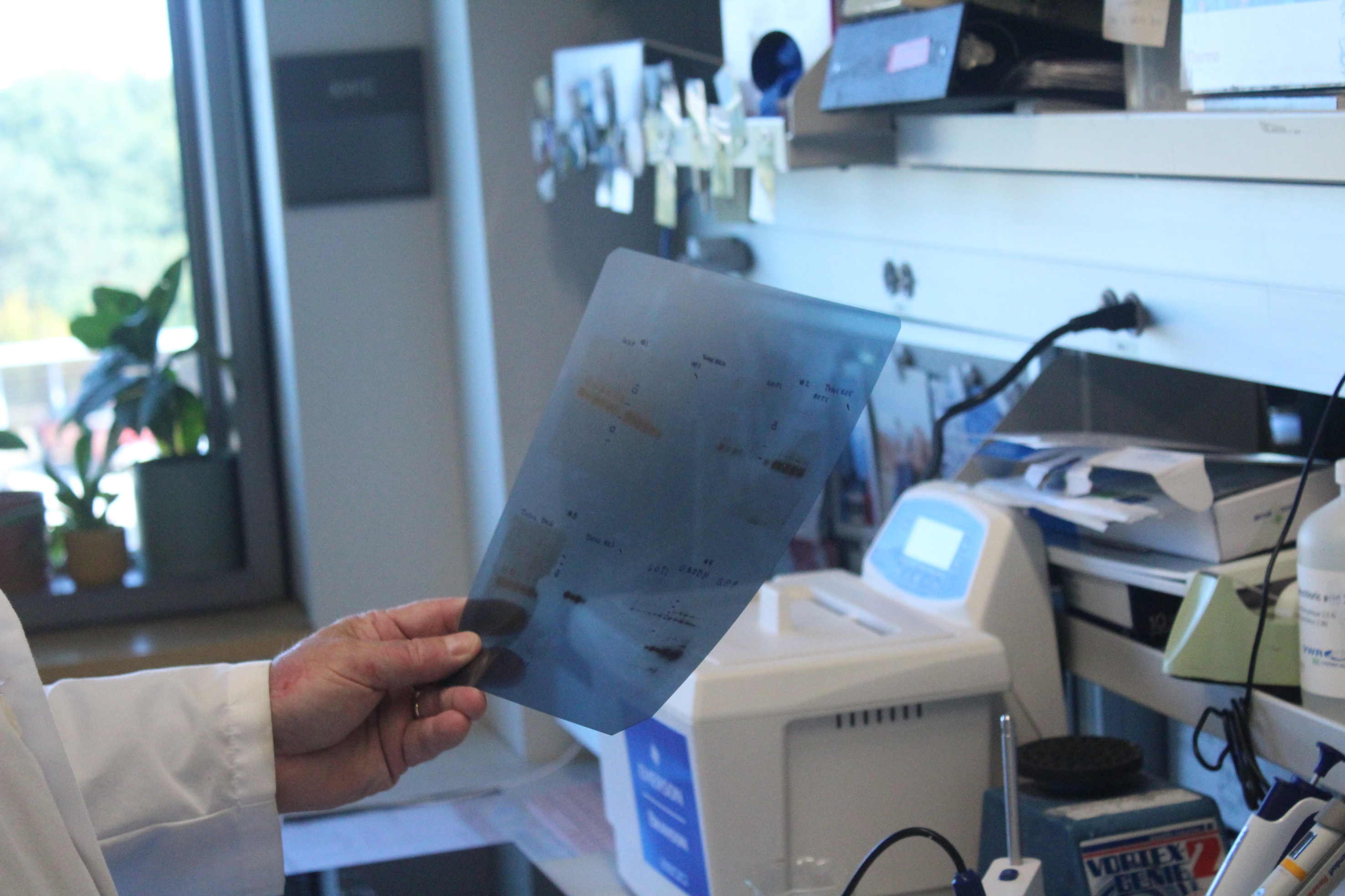 Dr. howe lab