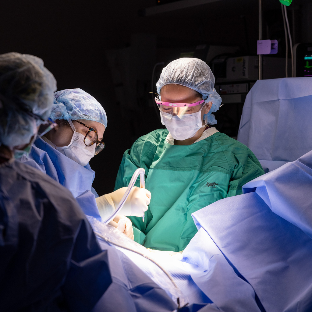 Breast Fellowship Surgery