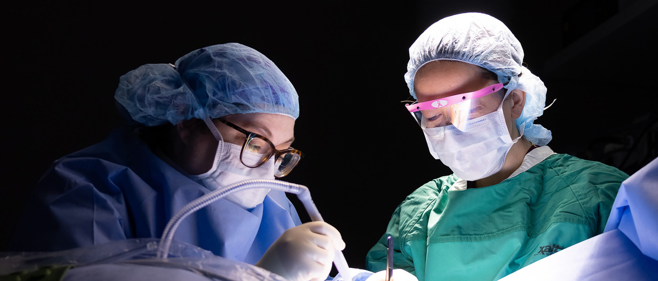 Breast Surgery Fellow Beck Uhlmann and Lillian Erdahl