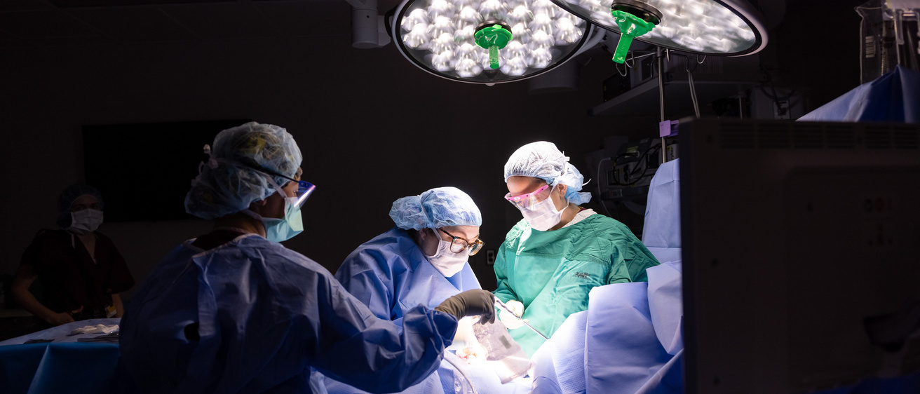 Surgery 2