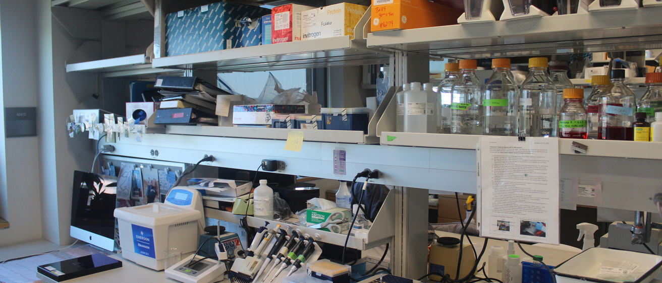 General Picture of Dr. Howe's Lab