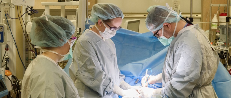 About | Department of Surgery - Carver College of Medicine | The ...