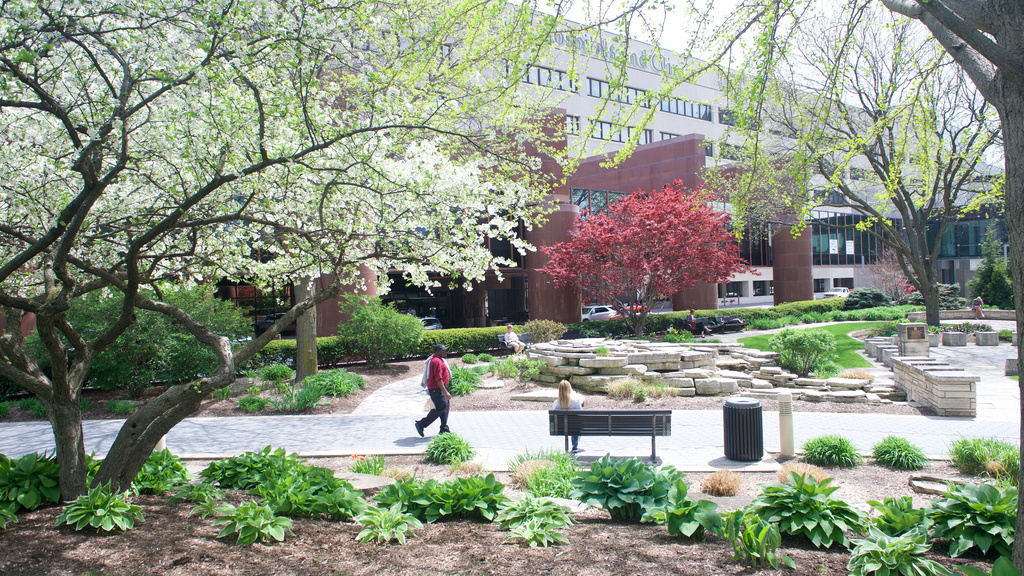 Exterior shots of UIHC