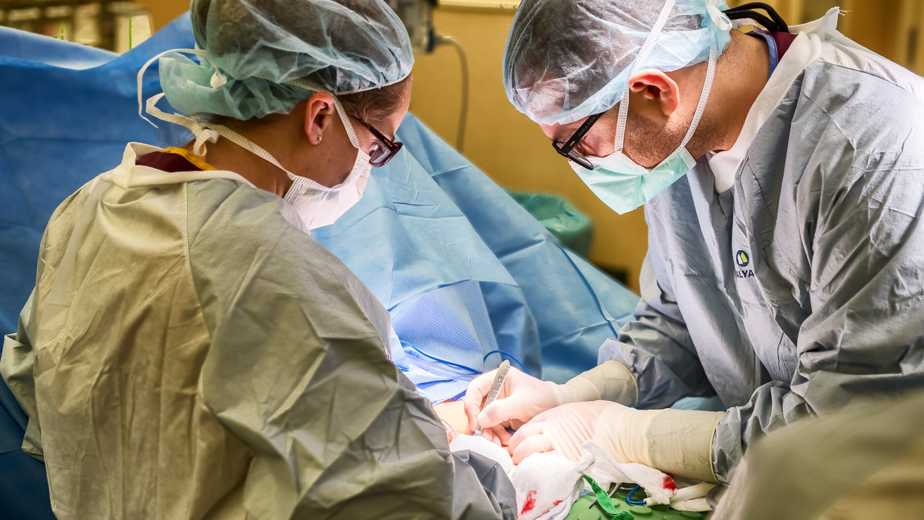 Medical students and residents, in the surgical residency training program, work under the supervision of the surgical staff as they make their rounds.